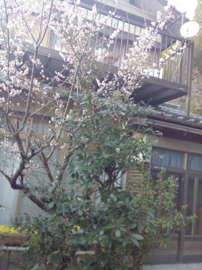 Raibrasil Guest House Sanuki  Exterior photo